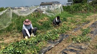警戒アラート発動中　水撒き！