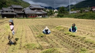 藁(わら)をいただきに能勢町へ