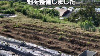 【芋掘り準備完了！】