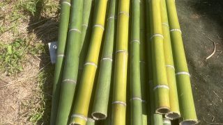 真竹と大正通りポケット