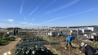 体験農園とつながりひろば さま