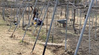 できることが増えること、成長すること