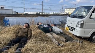 ふかふかの藁の上でリフレッシュ中